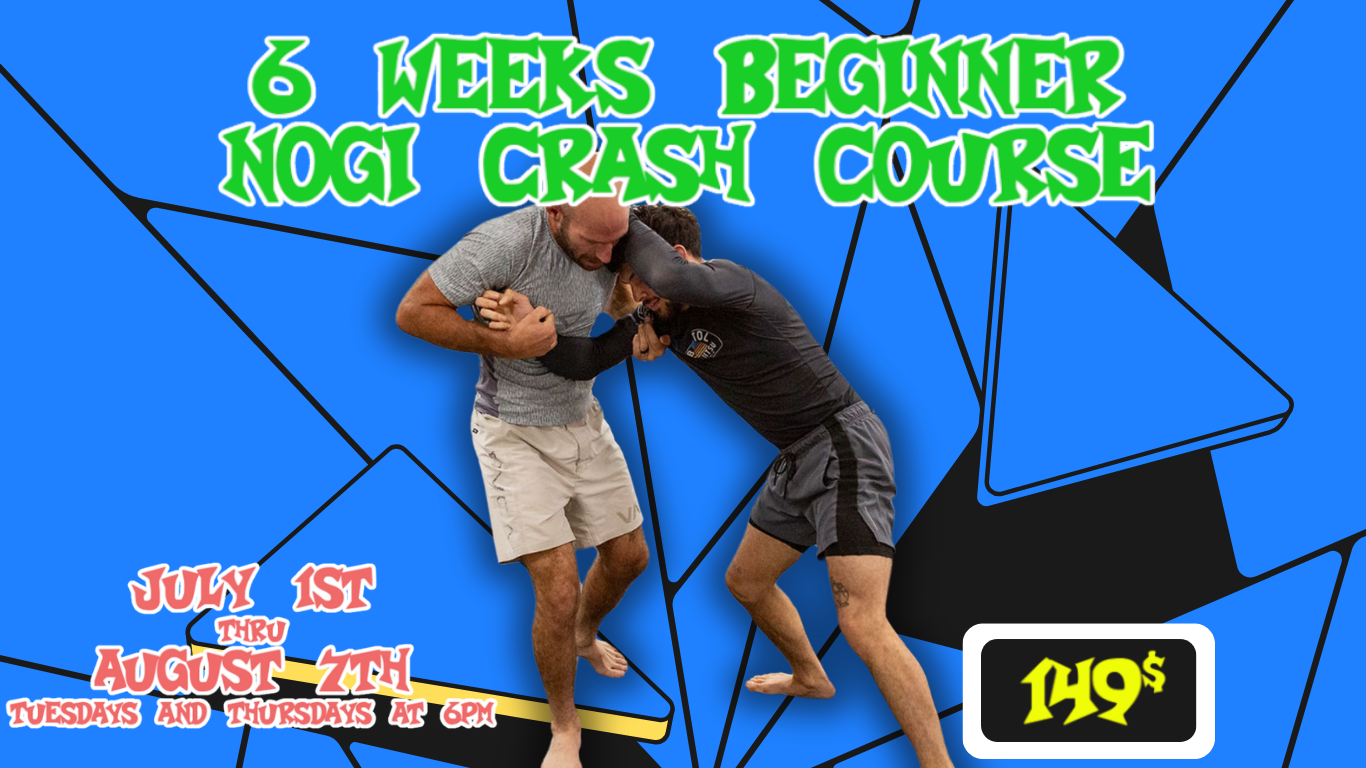 6 weeks Nogi (Website)